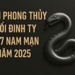 tử vi phong thủy tuổi Đinh tỵ 1977 – nam mạng năm 2025 Ổn Định nội khí, vượt qua năm tuổi bình an