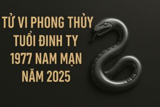 tử vi phong thủy tuổi Đinh tỵ 1977 – nam mạng năm 2025 Ổn Định nội khí, vượt qua năm tuổi bình an