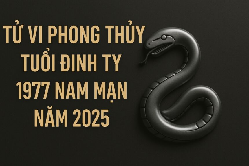tử vi phong thủy tuổi Đinh tỵ 1977 – nam mạng năm 2025 Ổn Định nội khí, vượt qua năm tuổi bình an