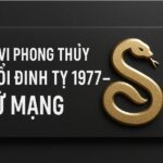tử vi phong thủy tuổi Đinh tỵ 1977 – nữ mạng năm 2025 hóa giải hung niên, Đón vận mới