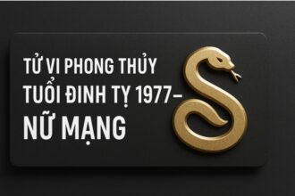 tử vi phong thủy tuổi Đinh tỵ 1977 – nữ mạng năm 2025 hóa giải hung niên, Đón vận mới