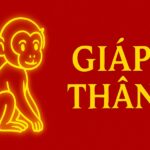 tử vi phong thủy tuổi giáp thân 2004 năm 2025 hộ thân – khai trí – chiêu tài tuổi đôi mươi