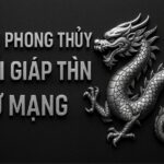 tử vi phong thủy tuổi giáp thìn 1964 – nữ mạng năm 2025 Ổn Định tâm khí, hóa giải hung niên