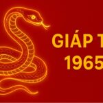 tử vi phong thủy tuổi giáp tỵ 1965 năm 2025 dưỡng sinh – an gia – hóa hung thành cát