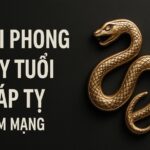 tử vi phong thủy tuổi giáp tỵ 1965 – nam mạng năm 2025 giữ tâm bình hòa, hóa giải năm tuổi