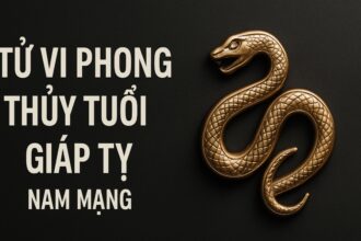 tử vi phong thủy tuổi giáp tỵ 1965 – nam mạng năm 2025 giữ tâm bình hòa, hóa giải năm tuổi