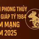 tử vi phong thủy tuổi giáp tý 1984 – nam mạng năm 2025 bứt phá Đúng thời, vận may gõ cửa