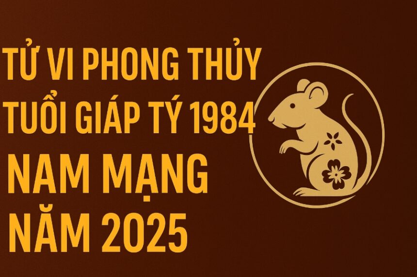 tử vi phong thủy tuổi giáp tý 1984 – nam mạng năm 2025 bứt phá Đúng thời, vận may gõ cửa