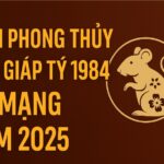 tử vi phong thủy tuổi giáp tý 1984 – nữ mạng năm 2025 kích tài Đón phúc, chuyển hạn thành cát