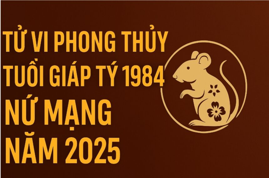 tử vi phong thủy tuổi giáp tý 1984 – nữ mạng năm 2025 kích tài Đón phúc, chuyển hạn thành cát