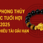 tử vi phong thủy tuổi hợi 2025