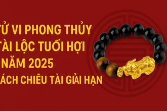 tử vi phong thủy tuổi hợi 2025