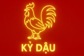 tử vi phong thủy tuổi kỷ dậu 1969 năm 2025 vững vận khí – giữ tài lộc – dưỡng thân tuổi chín muồi