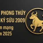 tử vi phong thủy tuổi kỷ sửu 2009 – nam mạng năm 2025 khơi dậy nội lực, kiến tạo tương lai
