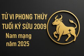 tử vi phong thủy tuổi kỷ sửu 2009 – nam mạng năm 2025 khơi dậy nội lực, kiến tạo tương lai