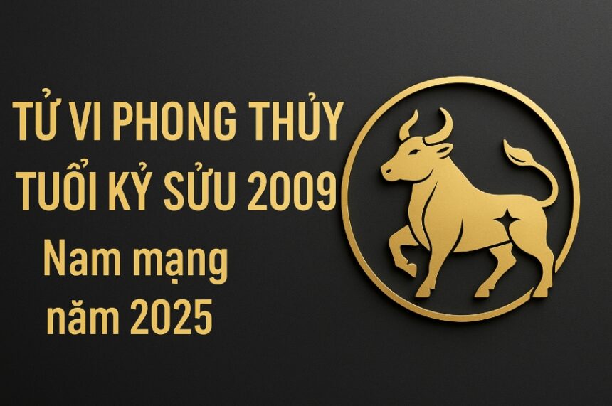 tử vi phong thủy tuổi kỷ sửu 2009 – nam mạng năm 2025 khơi dậy nội lực, kiến tạo tương lai