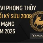 tử vi phong thủy tuổi kỷ sửu 2009 – nữ mạng năm 2025 bước Đệm mạnh mẽ cho tuổi dậy thì tỏa sáng