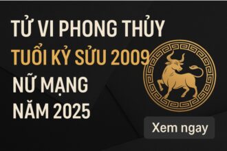 tử vi phong thủy tuổi kỷ sửu 2009 – nữ mạng năm 2025 bước Đệm mạnh mẽ cho tuổi dậy thì tỏa sáng