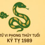 tử vi phong thủy tuổi kỷ tỵ 1989 năm 2025 chiêu tài giải hạn thịnh vượng bền lâu