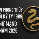 tử vi phong thủy tuổi kỷ tỵ 1989 – nữ mạng năm 2025 khí vượng Đẩy vận, tài danh mở hướng