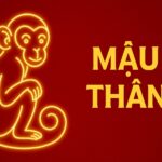 tử vi phong thủy tuổi mậu thân 1968 năm 2025 trấn trạch vững nhà – dưỡng sinh tuổi trung niên – giữ tài bền vận