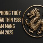 tử vi phong thủy tuổi mậu thìn 1988 – nam mạng năm 2025 hành vận vượng mộc, dẫn lối tài danh