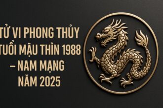 tử vi phong thủy tuổi mậu thìn 1988 – nam mạng năm 2025 hành vận vượng mộc, dẫn lối tài danh