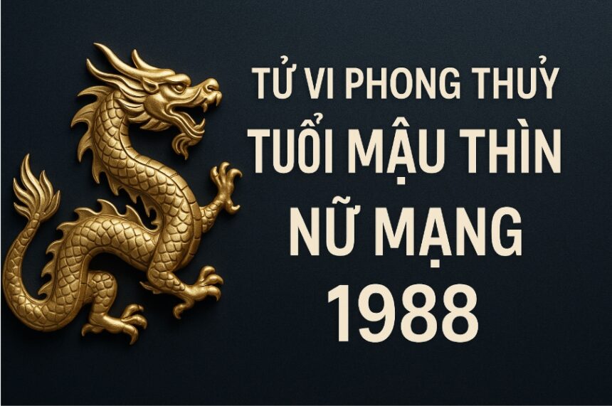 tử vi phong thủy tuổi mậu thìn 1988 – nữ mạng năm 2025 vượng khí trỗi dậy, tài lộc rộng mở