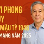 tử vi phong thủy tuổi mậu tý 1948 – nam mạng năm 2025 an lạc tuổi già, Đón phúc vượng về nhà