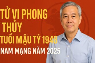 tử vi phong thủy tuổi mậu tý 1948 – nam mạng năm 2025 an lạc tuổi già, Đón phúc vượng về nhà