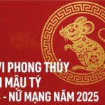 tử vi phong thủy tuổi mậu tý 1948 – nữ mạng năm 2025 gieo phúc tụ lộc, an yên tuổi già