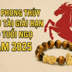 tử vi phong thủy tuổi ngọ