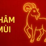 tử vi phong thủy tuổi nhâm mùi 2003 năm 2025 chiêu tài hóa xui – vững tâm vượt vận – mở lối thành công