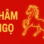 tử vi phong thủy tuổi nhâm ngọ 2002 năm 2025 Định vị tương lai – chiêu tài đúng hướng – hộ mệnh tuổi trẻ