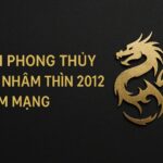 tử vi phong thủy tuổi nhâm thìn 2012 – nam mạng năm 2025 dưỡng Đức dẫn Đường, gặt thành quả về sau