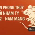 tử vi phong thủy tuổi nhâm tý 1972 – nam mạng năm 2025 hóa giải vận xấu, Đón cơ hội lớn