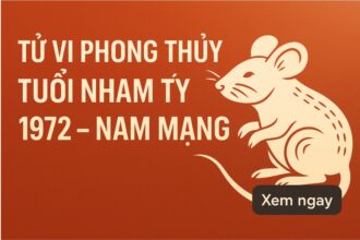 tử vi phong thủy tuổi nhâm tý 1972 – nam mạng năm 2025 hóa giải vận xấu, Đón cơ hội lớn