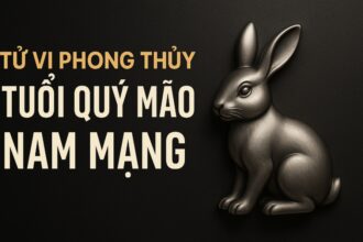 tử vi phong thủy tuổi quý mão 1963 – nam mạng năm 2025 tĩnh giữ vận, tâm dẫn lối an khang