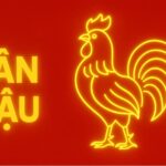 tử vi phong thủy tuổi tân dậu 1981 năm 2025 giữ tâm vững vàng – hóa giải tiểu hạn – vận khí sẽ mở