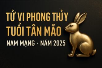 tử vi phong thủy tuổi tân mão 2011 – nam mạng năm 2025 Định hướng Đúng sớm, thành công tới nhanh