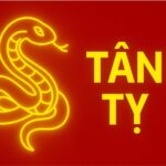 tử vi phong thủy tuổi tân tỵ 2001 năm 2025 khởi động hành trình mới – vững vàng bản lĩnh – Đón tài phá hạn