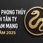 tử vi phong thủy tuổi tân tỵ 2001 – nam mạng năm 2025 hóa giải khắc khí, mở rộng tầm nhìn