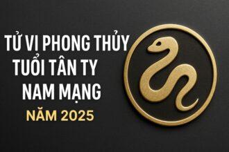 tử vi phong thủy tuổi tân tỵ 2001 – nam mạng năm 2025 hóa giải khắc khí, mở rộng tầm nhìn