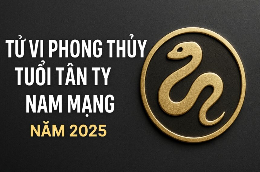 tử vi phong thủy tuổi tân tỵ 2001 – nam mạng năm 2025 hóa giải khắc khí, mở rộng tầm nhìn