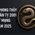 tử vi phong thủy tuổi tân tỵ 2001 – nữ mạng năm 2025 khởi sắc tài lộc, tự tin dẫn vận