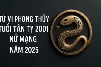 tử vi phong thủy tuổi tân tỵ 2001 – nữ mạng năm 2025 khởi sắc tài lộc, tự tin dẫn vận