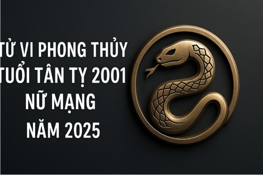 tử vi phong thủy tuổi tân tỵ 2001 – nữ mạng năm 2025 khởi sắc tài lộc, tự tin dẫn vận