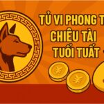 tử vi phong thủy tuổi tuất