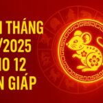 tử vi tháng 10 2025 cho 12 con giáp tăng tốc cuối năm – mở vận đúng thời sẽ thành đại sự