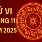 tử vi tháng 11 2025 cho 12 con giáp vượt khúc cua cuối năm – Đúng phong thủy, đúng vận phát tài
